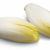 Semillas de Endivia Blanca 2 gr