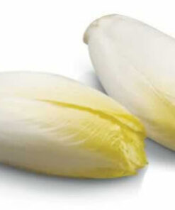 Semillas de Endivia Blanca 2 gr