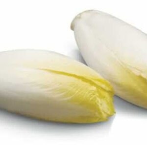 Semillas de Endivia Blanca 2 gr