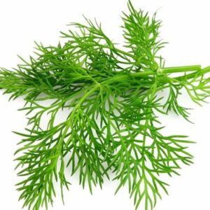 Semillas de Eneldo libre de químicos 3 gr