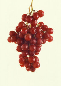 Parra Flame Seedless