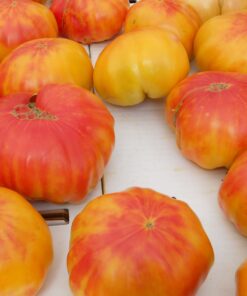 Tomate Antiguo N°28- Herencia: German Gold Strawberry Semilla Orgánica 15 un.