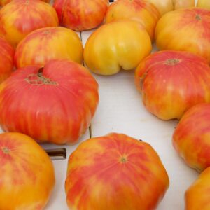 Tomate Antiguo N°28- Herencia: German Gold Strawberry Semilla Orgánica 15 un.