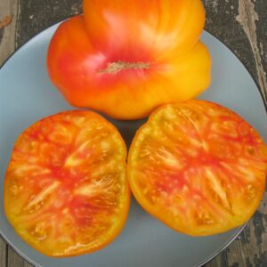 Tomate Antiguo N°27- Herencia: Gold Medal Semilla Orgánica 10 un.