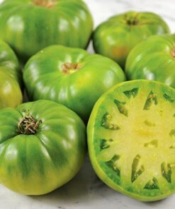 Tomate Antiguo N°10- Herencia: Green Giant Semilla Orgánica 10 un.