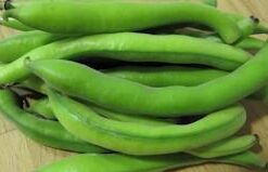 Haba Blanca Libre de Químicos 1 kg