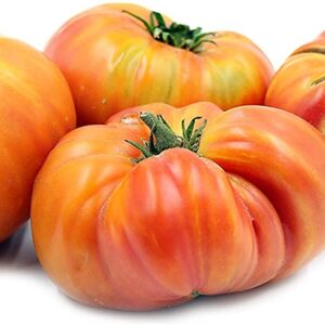 Tomate Antiguo N°15- Herencia: Hillbilly Semilla Orgánica 15 un.