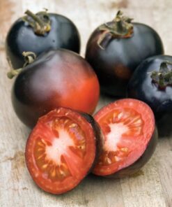 Tomate Antiguo N°14- Herencia: Indigo Rose Semilla Orgánica 15 un.
