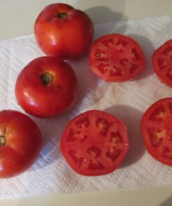 Tomate Antiguo N°32- Herencia: Julia Child Semilla Orgánica 10 un.