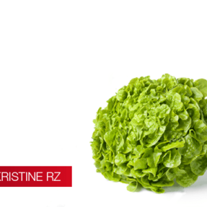 Semillas de Lechuga Kristine pelletizada (hirdroponia)