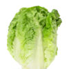 Semillas de Lechuga Super Milanesa Peletizada