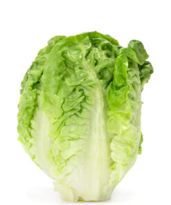 Semillas de Lechuga Super Milanesa Peletizada