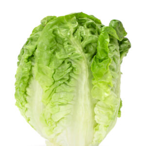 Semillas de Lechuga Super Milanesa Peletizada