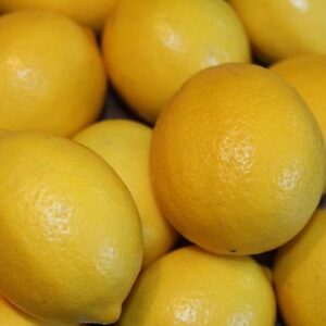 Limón Meyer injertado