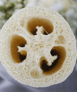 Semillas de Luffa orgánica (10 unidades)