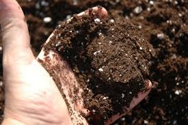 Mezcla de germinación La Mano Verde 8 lt