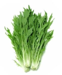 Semillas de Mizuna Verde (3 gr.)