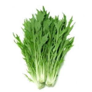 Semillas de Mizuna Verde (3 gr.)