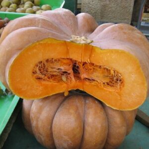 Semillas de Zapallo Muscat de Provence 20 semillas