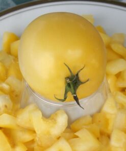 Tomate Antiguo N°39 - Herencia: New Moon Semilla Orgánica 10 un.