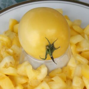 Tomate Antiguo N°39 - Herencia: New Moon Semilla Orgánica 10 un.