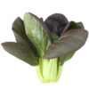 Semillas de Pak Choi rojo F1 (1 gr. )
