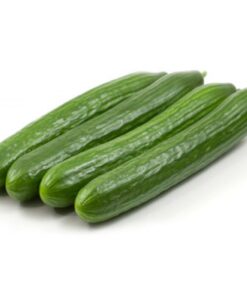 Semillas de Pepino Alaska 10 un.