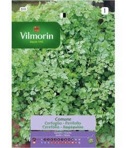 Semillas Vilmorin Perifollo
