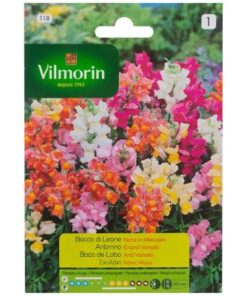 Semillas Vilmorin Perrito Enano Variado