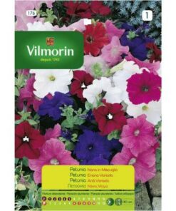 Semillas Vilmorin Petunia Enana Variada