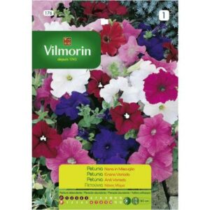 Semillas Vilmorin Petunia Enana Variada