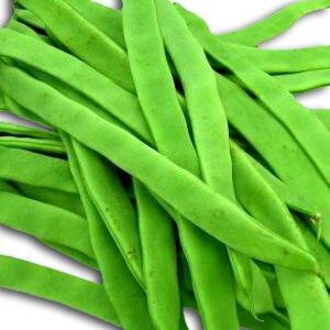 Semillas de Poroto Verde Apolo 20 gr.