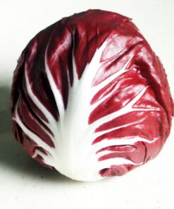 Semillas de Radicchio di Verona 1 gr