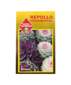 Semillas de Repollo Ornamental Colores variados Las Encinas