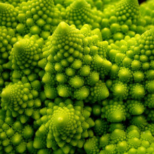 Semillas de Brócoli Romanesco