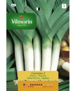 Semillas Vilmorin Puerro Carentan