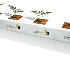 Slab hidropónico Fibra de Coco Projar Goldengrow Balance
