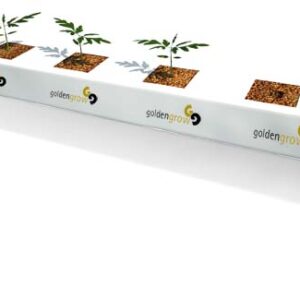 Slab hidropónico Fibra de Coco Projar Goldengrow Balance