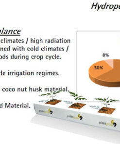 Slab hidropónico Fibra de Coco Projar Goldengrow Balance