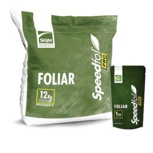 Fertilizante foliar o de riego Speedfol PRO 1 kg