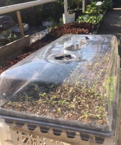 Tapa para Almaciguera con ventilación
