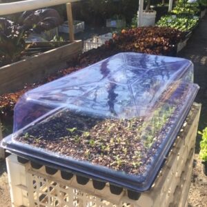 Tapa para Almaciguera sin ventilación