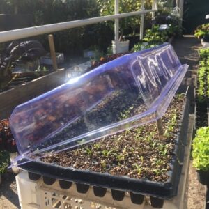 Tapa para Almaciguera sin ventilación