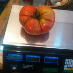 Semillas orgánicas de tomates herencia Mix 20 semillas