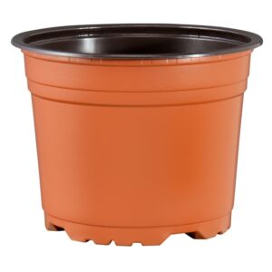 Bandeja Teku con 12 macetas 300 cc c/u