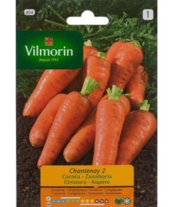 Semillas Vilmorin Zanahoria Chantenay