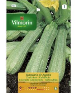 Semillas Vilmorin Zapallo Italiano Temprano de Argelia