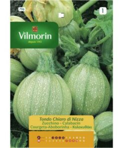Semillas Vilmorin Zapallo Italiano Bola Blanca (8)