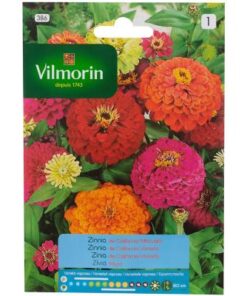 Semillas Vilmorin Zinia de California Variada