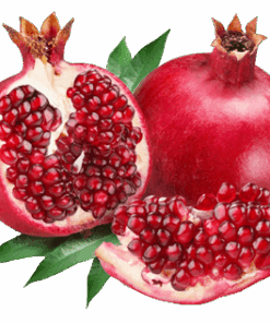 Árbol Frutal Granado Wonderful